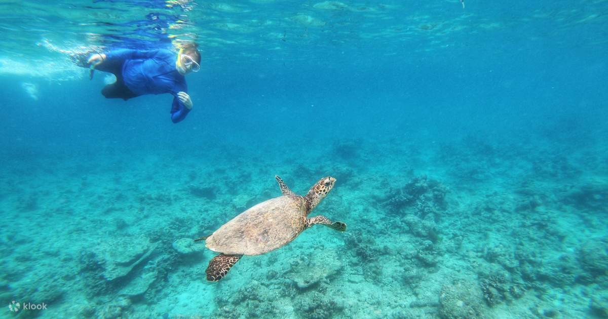 Snorkeling Experience from Male Klook Malaysia